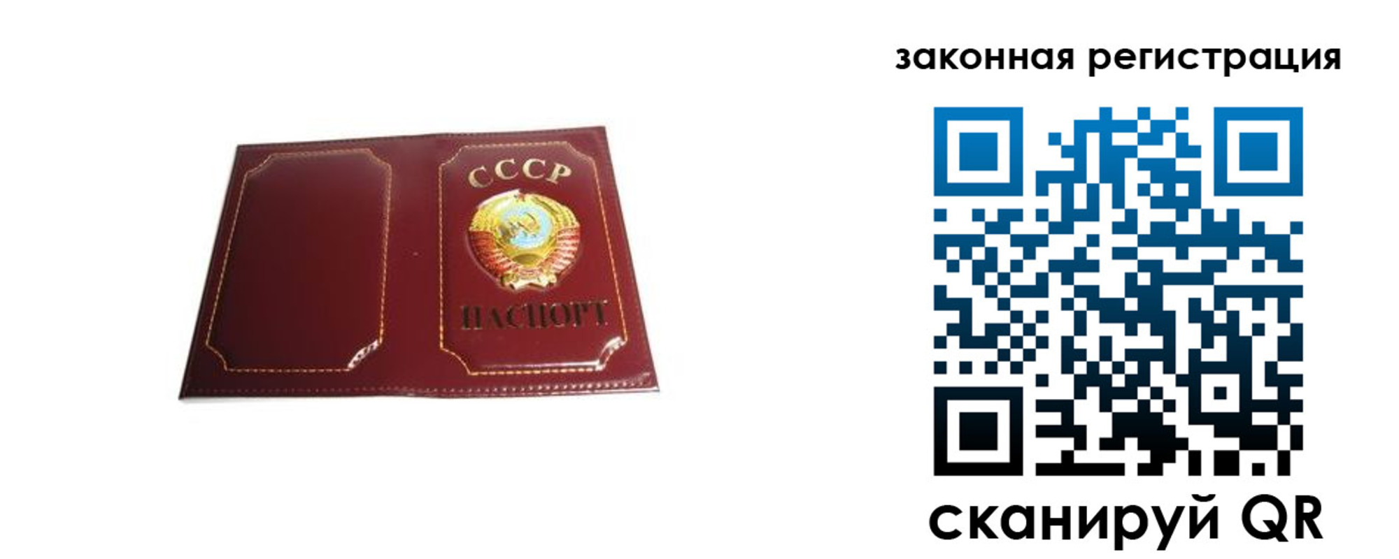 прописка поиск в Кингисеппе