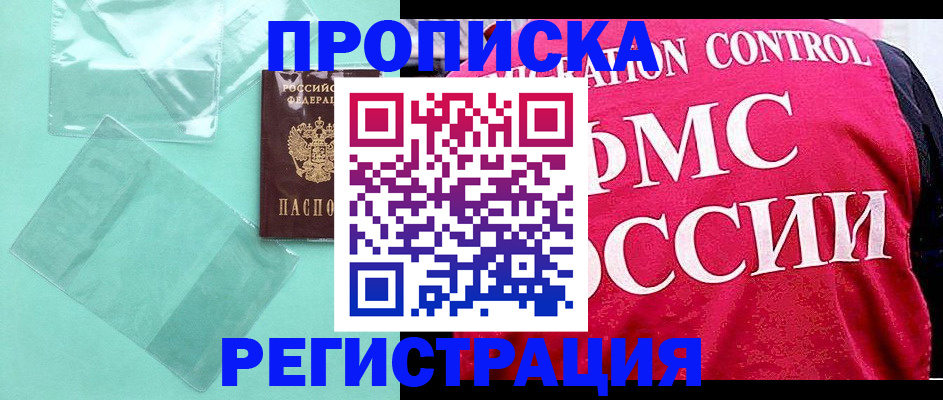 прописка 2025 в Кингисеппе